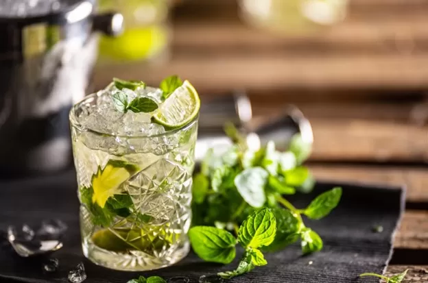 Mojito Madness: A Journey through Modern Variations